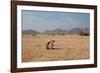 A Cape Ground Squirrel, Xerus Inures, on the Look Out in Solitaire, Namibia-Alex Saberi-Framed Photographic Print