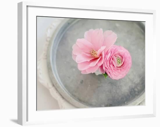 A Captivating Pair-Sarah Gardner-Framed Photographic Print