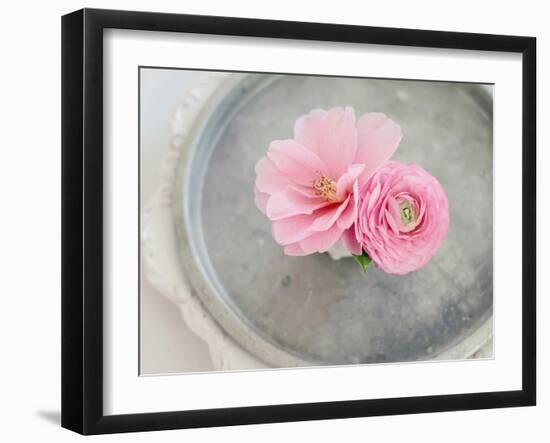 A Captivating Pair-Sarah Gardner-Framed Photographic Print