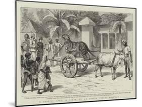 A Captive King, a Scene on an Indian Public Highway-null-Mounted Giclee Print