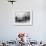 A Car Surrounded by Sheep, Lewes High Street, East Sussex-null-Framed Photographic Print displayed on a wall