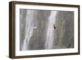 A Caracara Flies Past Iguacu Falls-Alex Saberi-Framed Photographic Print