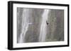 A Caracara Flies Past Iguacu Falls-Alex Saberi-Framed Photographic Print