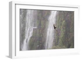 A Caracara Flies Past Iguacu Falls-Alex Saberi-Framed Photographic Print