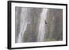 A Caracara Flies Past Iguacu Falls-Alex Saberi-Framed Photographic Print