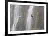 A Caracara Flies Past Iguacu Falls-Alex Saberi-Framed Photographic Print