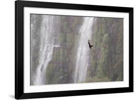 A Caracara Flies Past Iguacu Falls-Alex Saberi-Framed Photographic Print