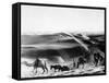 A Caravan Comes from the Sand Hills-null-Framed Stretched Canvas