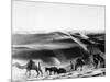 A Caravan Comes from the Sand Hills-null-Mounted Photographic Print