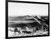 A Caravan Comes from the Sand Hills-null-Framed Photographic Print