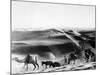 A Caravan Comes from the Sand Hills-null-Mounted Photographic Print