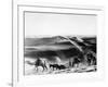 A Caravan Comes from the Sand Hills-null-Framed Photographic Print