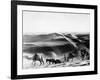 A Caravan Comes from the Sand Hills-null-Framed Photographic Print