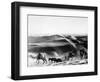 A Caravan Comes from the Sand Hills-null-Framed Photographic Print