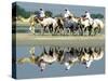 A Caravan of Racing Camels Return from a Morning Training Session-null-Stretched Canvas