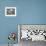 A Cardinal Sits on a Snow-Covered Branch-null-Framed Photographic Print displayed on a wall