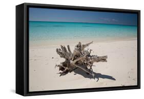 A Caribbean Beach in Cuba's Cayo Largo-Alex Saberi-Framed Stretched Canvas