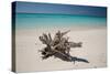 A Caribbean Beach in Cuba's Cayo Largo-Alex Saberi-Stretched Canvas