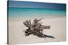 A Caribbean Beach in Cuba's Cayo Largo-Alex Saberi-Stretched Canvas