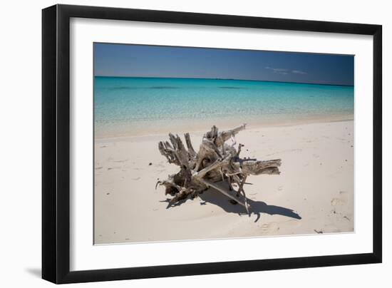 A Caribbean Beach in Cuba's Cayo Largo-Alex Saberi-Framed Photographic Print