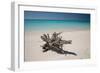 A Caribbean Beach in Cuba's Cayo Largo-Alex Saberi-Framed Photographic Print