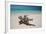 A Caribbean Beach in Cuba's Cayo Largo-Alex Saberi-Framed Photographic Print