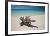 A Caribbean Beach in Cuba's Cayo Largo-Alex Saberi-Framed Photographic Print