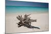 A Caribbean Beach in Cuba's Cayo Largo-Alex Saberi-Mounted Photographic Print