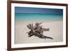 A Caribbean Beach in Cuba's Cayo Largo-Alex Saberi-Framed Photographic Print