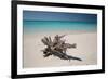 A Caribbean Beach in Cuba's Cayo Largo-Alex Saberi-Framed Photographic Print