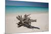 A Caribbean Beach in Cuba's Cayo Largo-Alex Saberi-Mounted Photographic Print