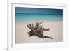 A Caribbean Beach in Cuba's Cayo Largo-Alex Saberi-Framed Photographic Print