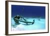 A Caribbean Reef Shark Swimbs by the Anchor at Treasure Wreck-Stocktrek Images-Framed Photographic Print