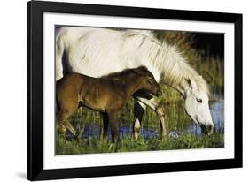 A Caring Disposition-Wild Wonders of Europe-Framed Giclee Print