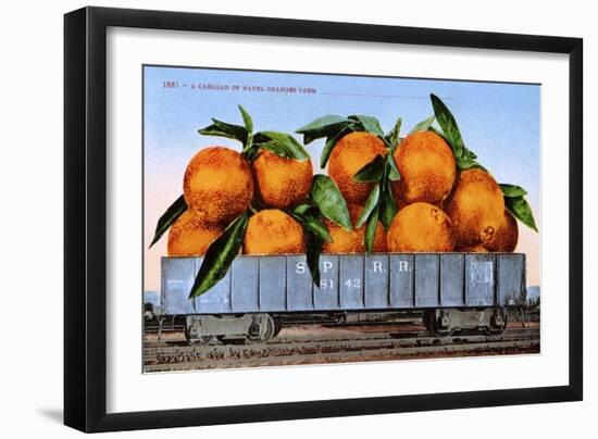 A Carload of Navel Oranges Postcard-null-Framed Giclee Print