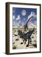 A Carnivorous Allosaurus Confronting a Giant Diplodocus-Stocktrek Images-Framed Art Print