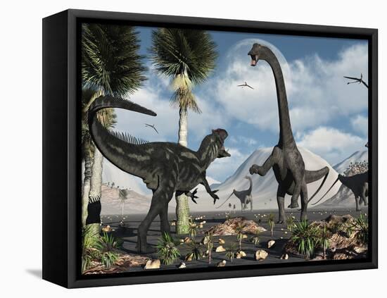 A Carnivorous Allosaurus Confronts a Giant Diplodocus Herbivore During the Jurassic Period on Earth-Stocktrek Images-Framed Stretched Canvas