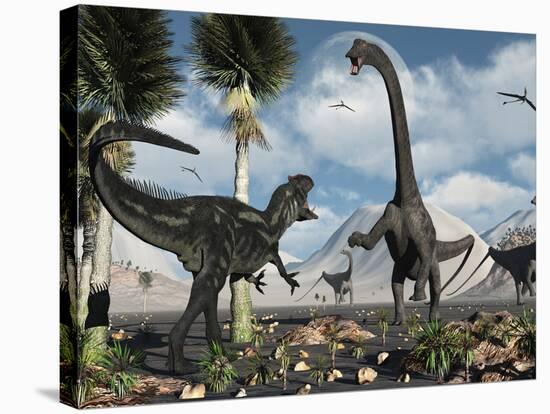A Carnivorous Allosaurus Confronts a Giant Diplodocus Herbivore During the Jurassic Period on Earth-Stocktrek Images-Stretched Canvas