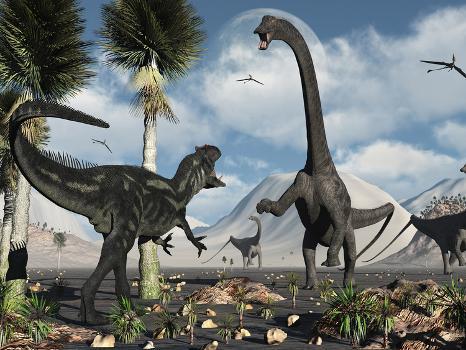 A Carnivorous Allosaurus Confronts a Giant Diplodocus Herbivore During the  Jurassic Period on Earth' Photographic Print - Stocktrek Images |  AllPosters.com