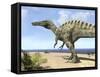A Carnivorous Suchomimus Wanders a Beach on the Ancient Tethys Ocean-Stocktrek Images-Framed Stretched Canvas