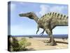A Carnivorous Suchomimus Wanders a Beach on the Ancient Tethys Ocean-Stocktrek Images-Stretched Canvas