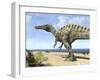 A Carnivorous Suchomimus Wanders a Beach on the Ancient Tethys Ocean-Stocktrek Images-Framed Photographic Print