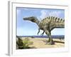 A Carnivorous Suchomimus Wanders a Beach on the Ancient Tethys Ocean-Stocktrek Images-Framed Photographic Print