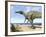 A Carnivorous Suchomimus Wanders a Beach on the Ancient Tethys Ocean-Stocktrek Images-Framed Photographic Print