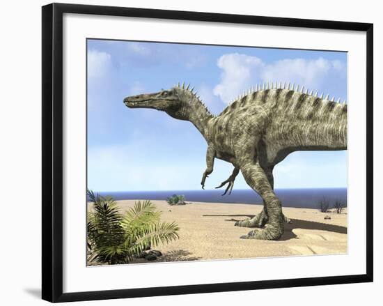 A Carnivorous Suchomimus Wanders a Beach on the Ancient Tethys Ocean-Stocktrek Images-Framed Photographic Print