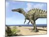 A Carnivorous Suchomimus Wanders a Beach on the Ancient Tethys Ocean-Stocktrek Images-Mounted Photographic Print