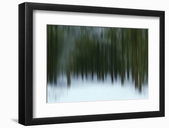 A Carpet Of Silence-Jacob Berghoef-Framed Photographic Print
