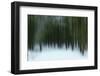 A Carpet Of Silence-Jacob Berghoef-Framed Photographic Print