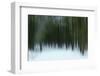 A Carpet Of Silence-Jacob Berghoef-Framed Photographic Print