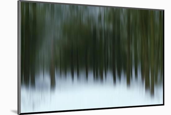 A Carpet Of Silence-Jacob Berghoef-Mounted Photographic Print